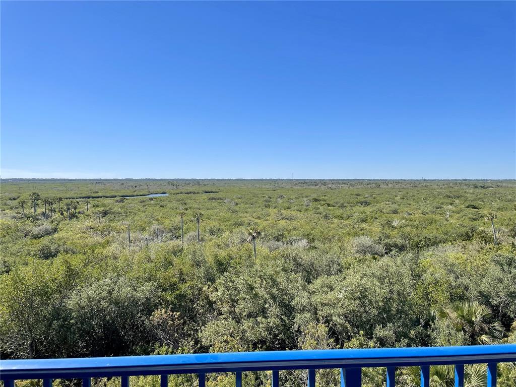 a view of a field with an ocean