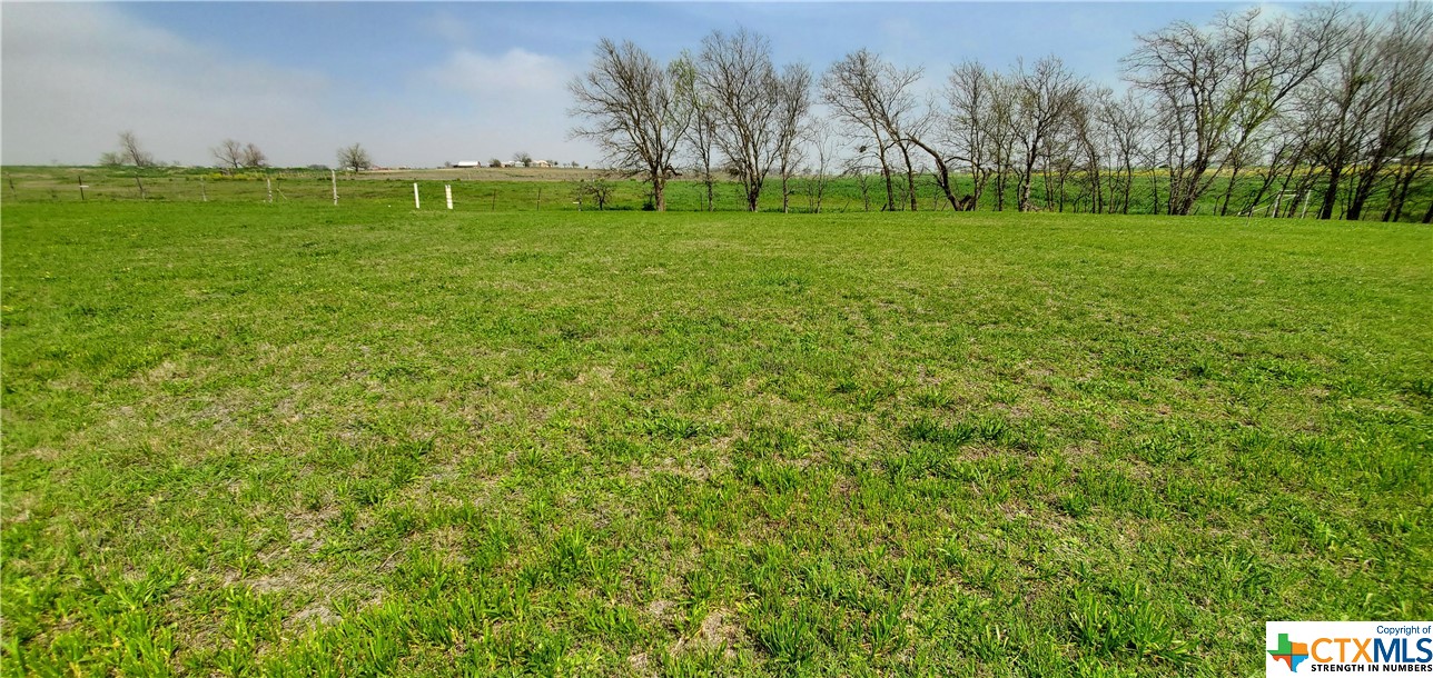 a view of grassy field with benches