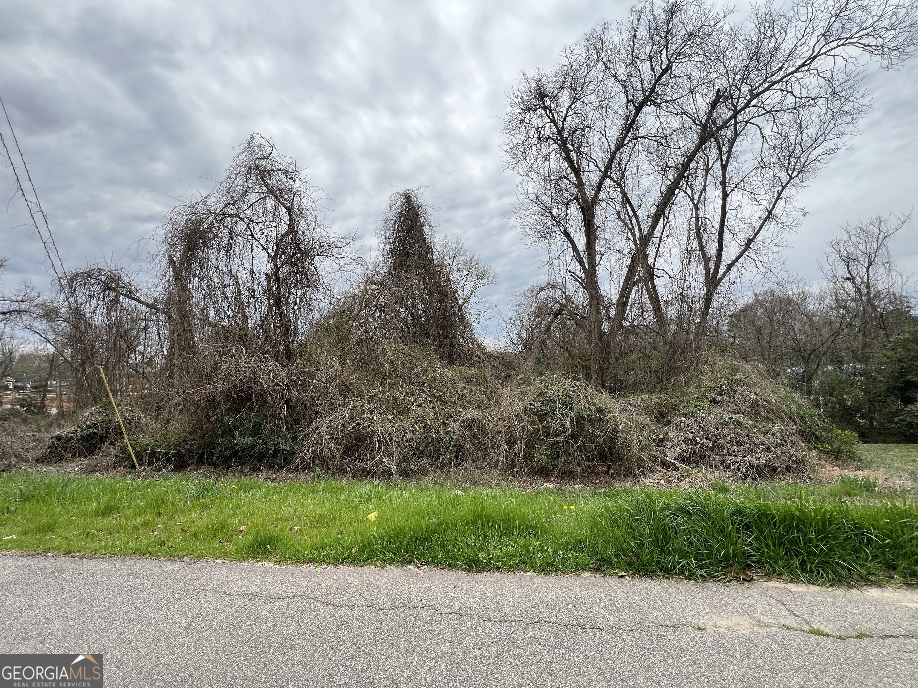 a view of a yard