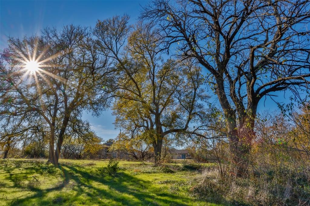 a view of backyard with green space