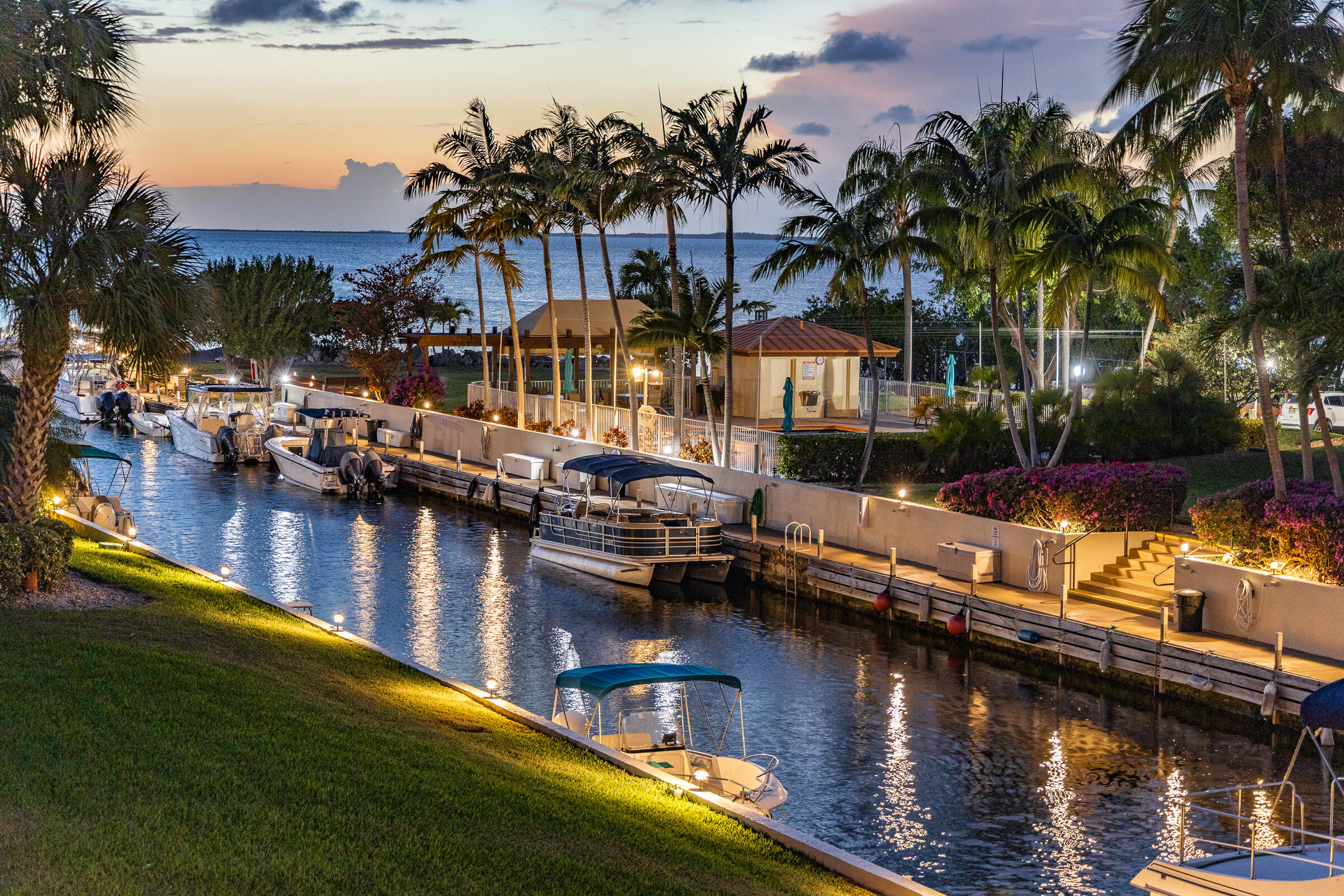 a view of a lake with boats and palm trees