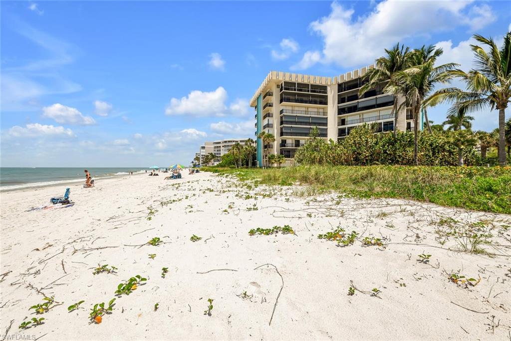 a view of a beach with a snow on the beach