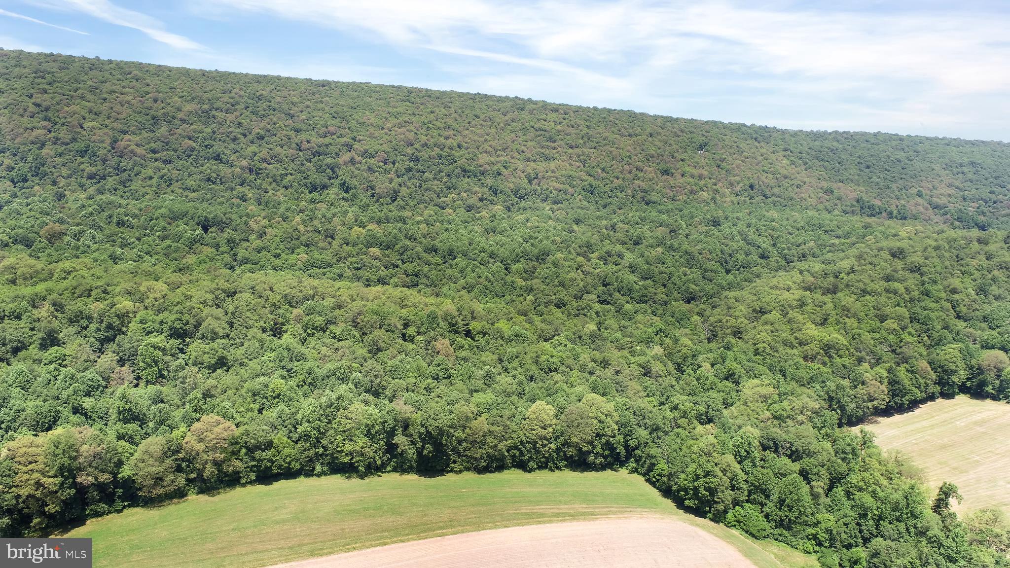 a view of a field with an trees