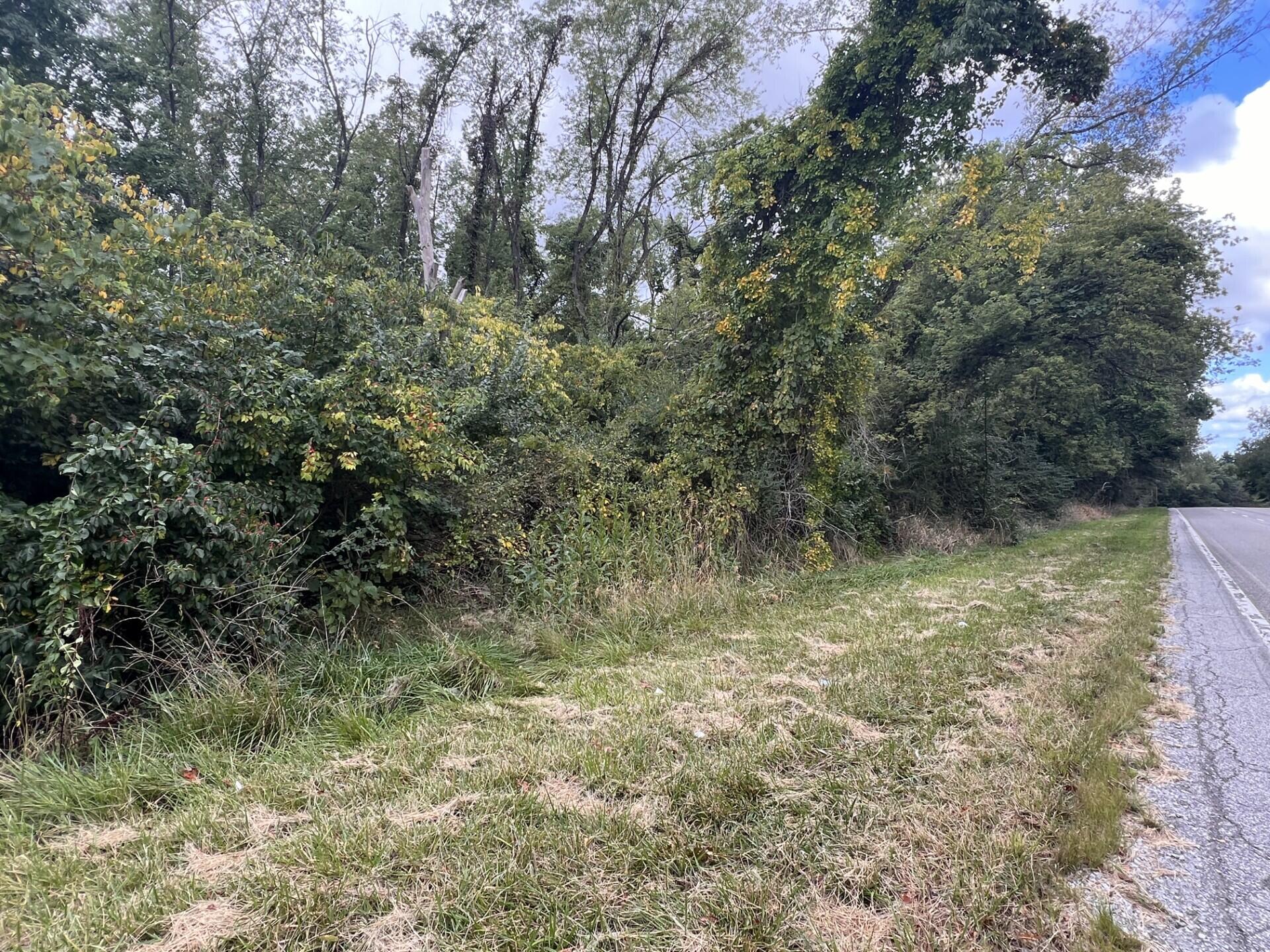 a view of a yard with a tree