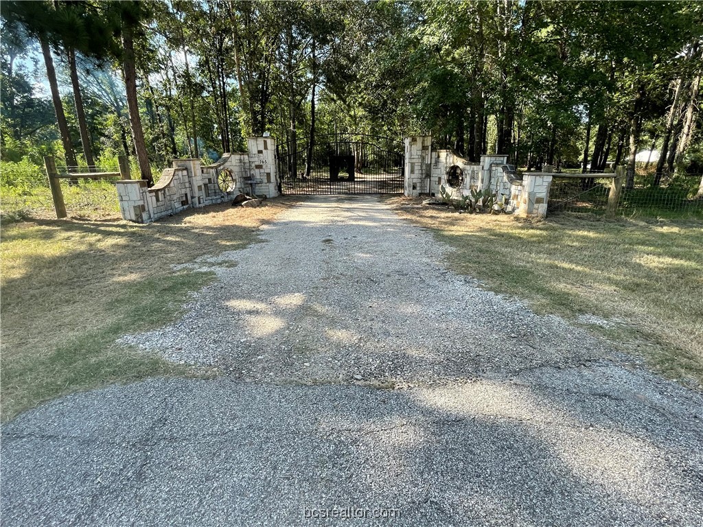 a view of outdoor space with trees all around