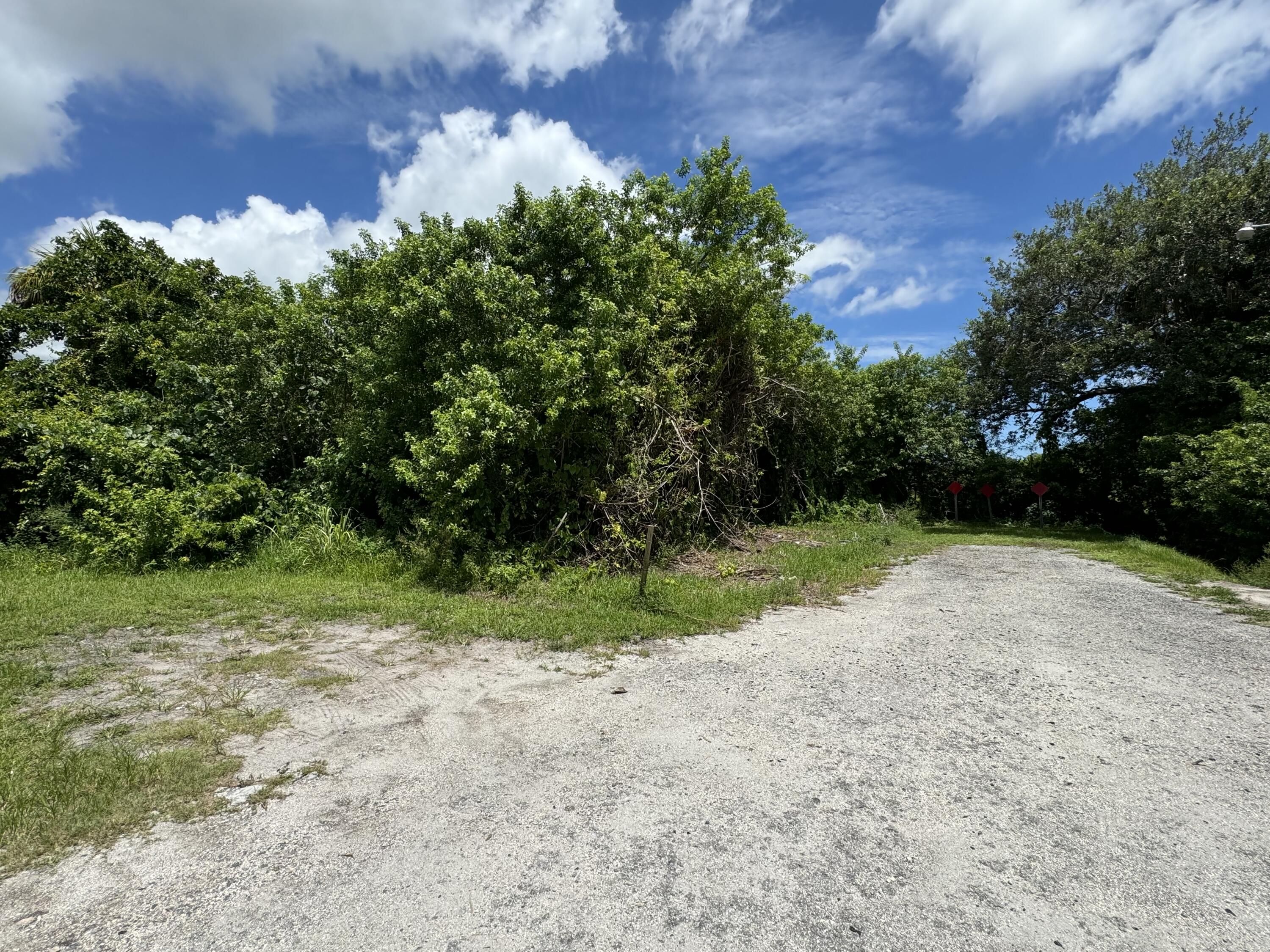 a view of backyard with green space