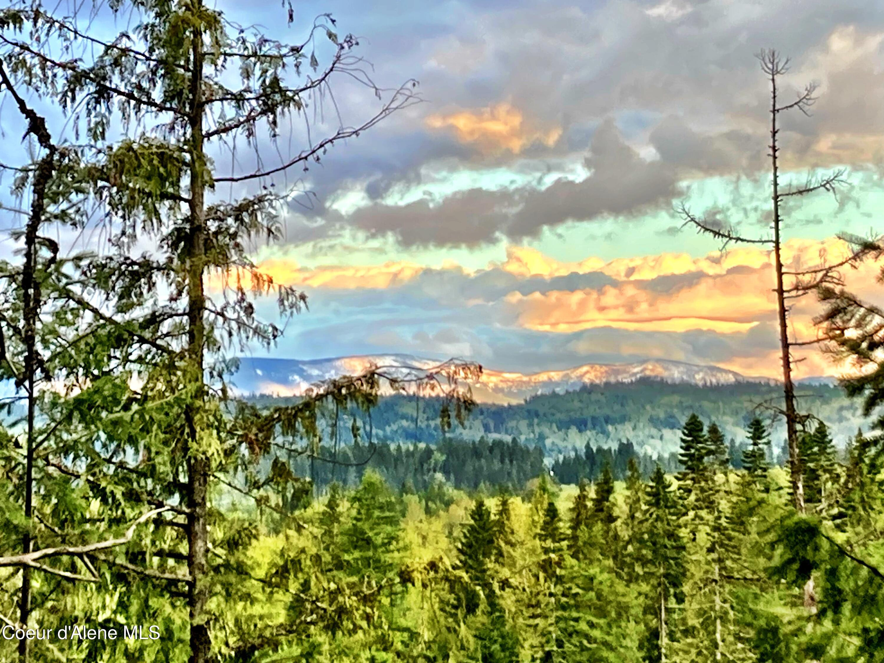 Views of the Cabinet Mtn Range!