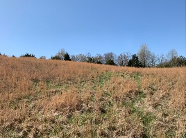 a view of mountain view with trees