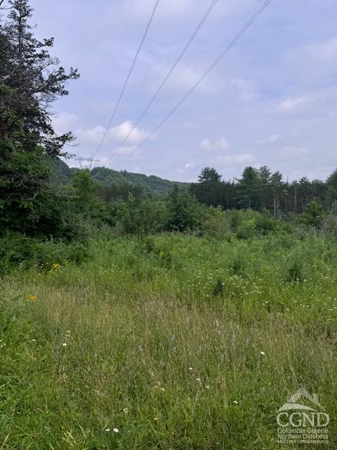 a view of a city and lush green forest