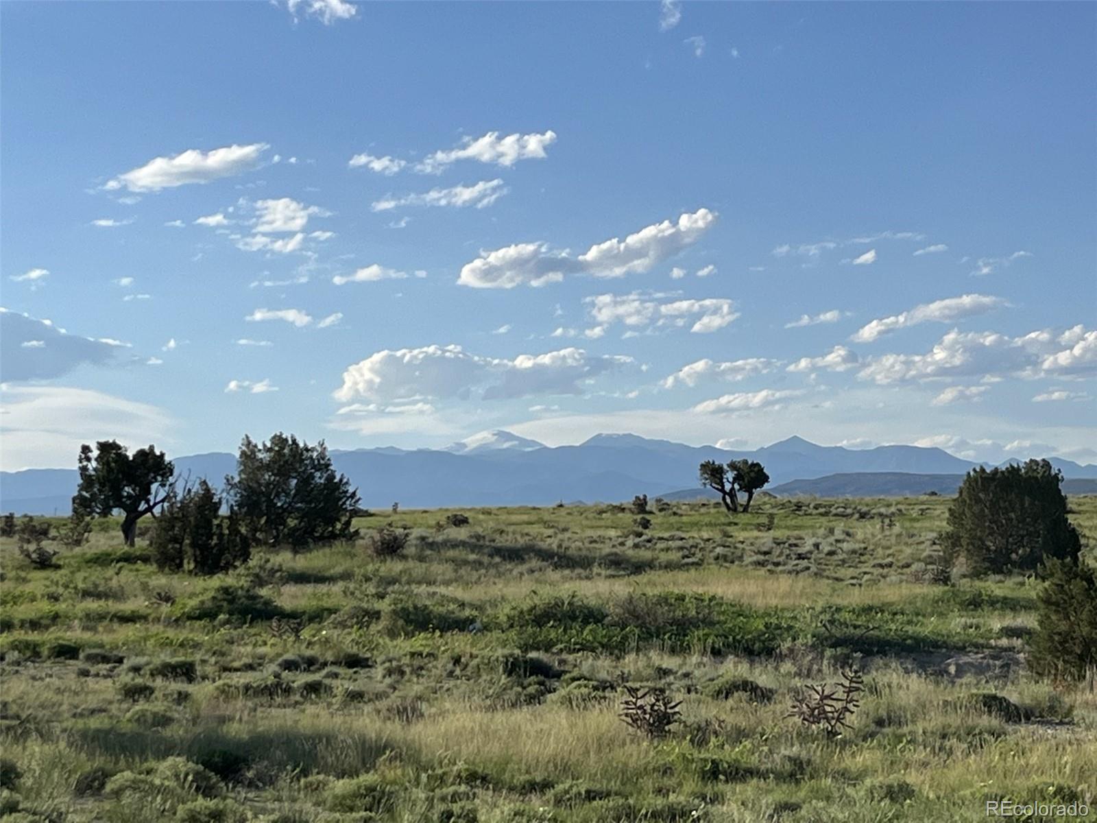 a view of a bunch of trees