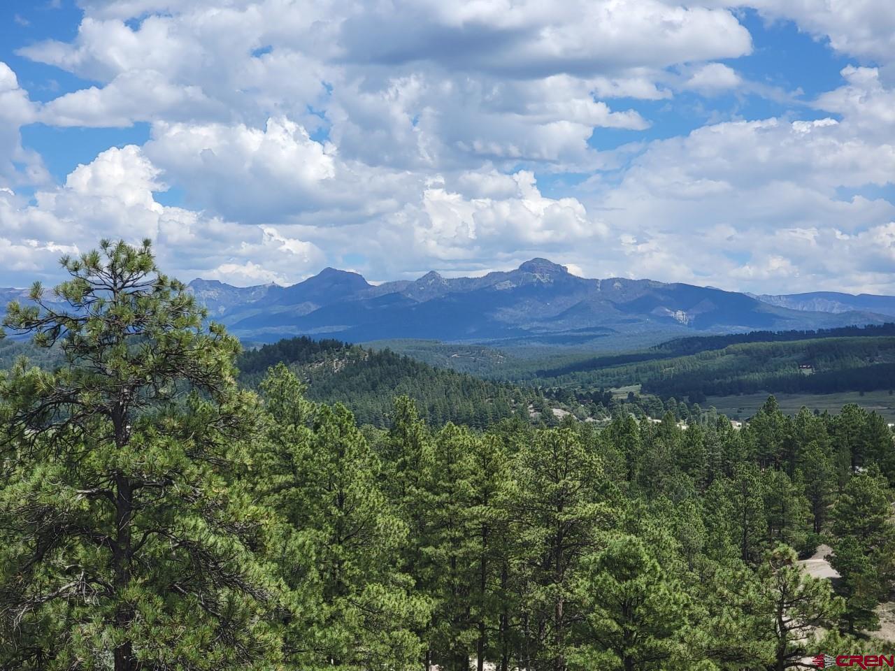 a view of a bunch of trees