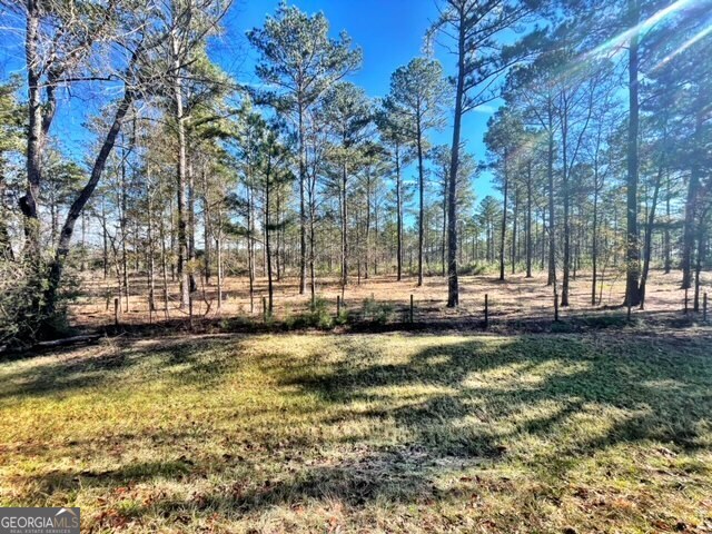 a view of a yard with a trees