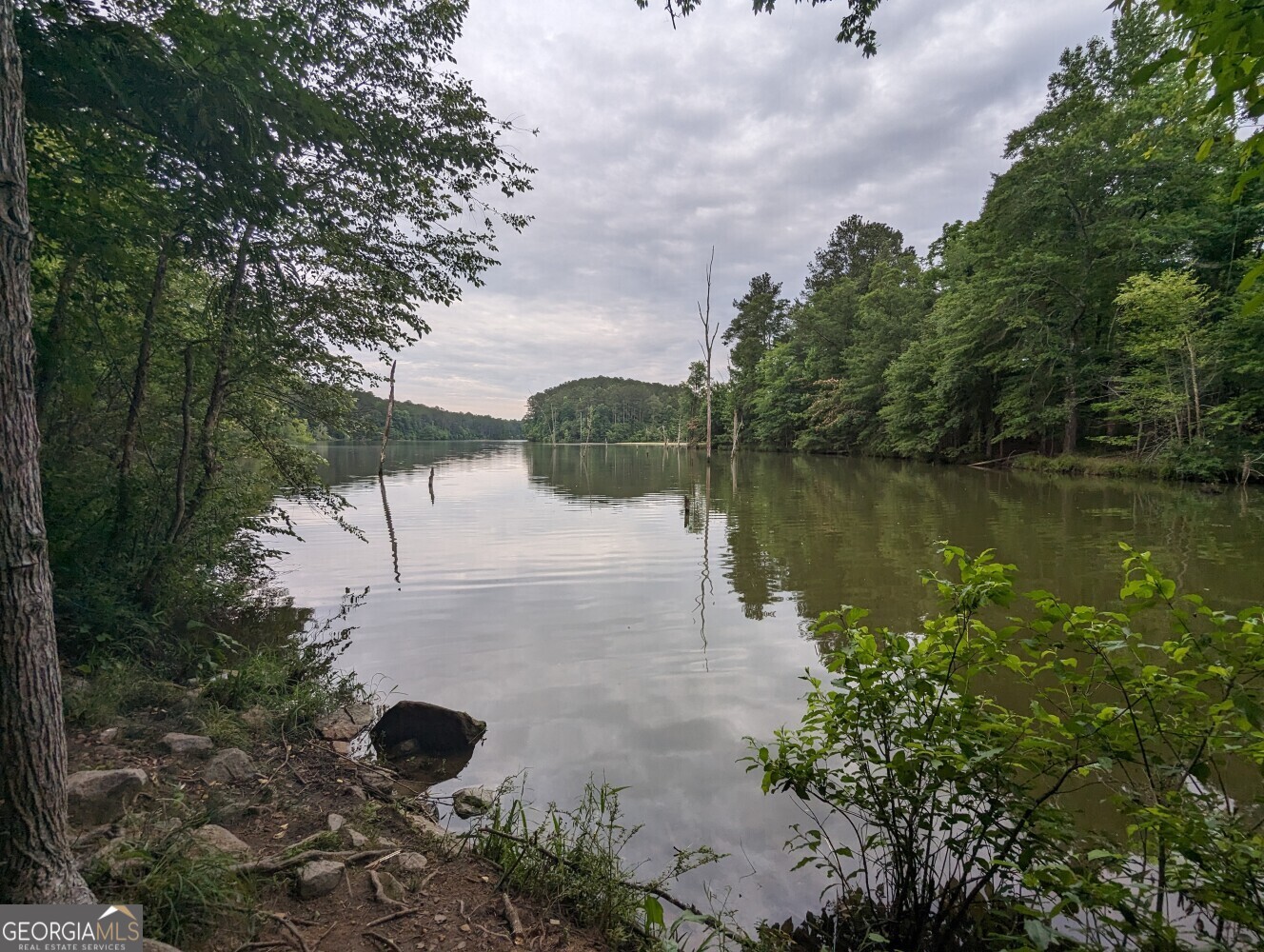 a view of a lake with a mountain in the background