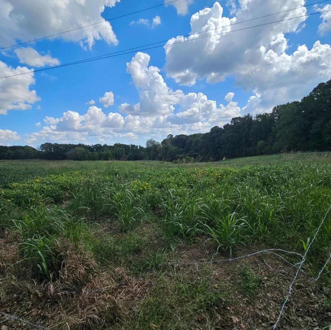 View of nature featuring a rural view