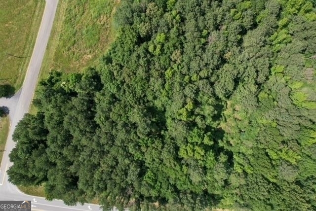 a view of a lush green forest