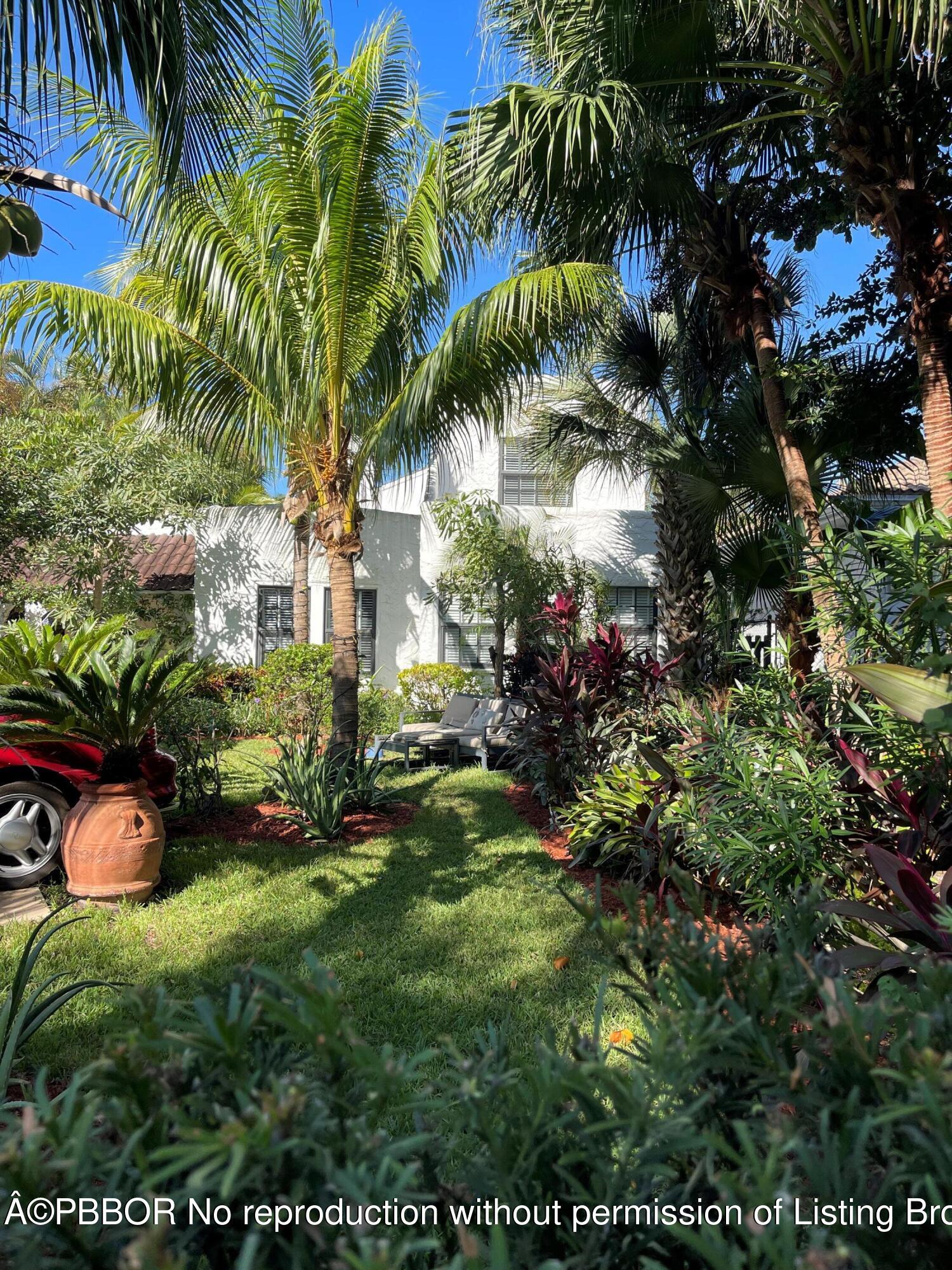 a view of backyard with palm trees