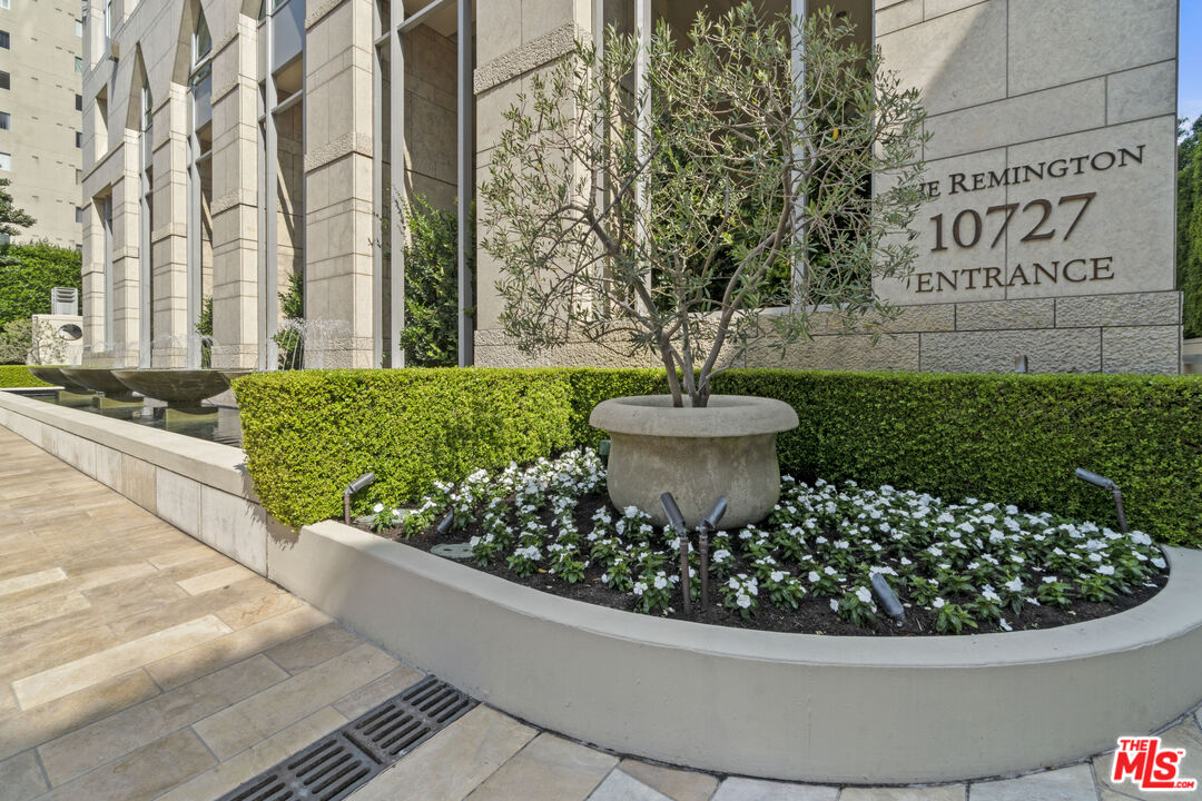 a view of a garden with plants