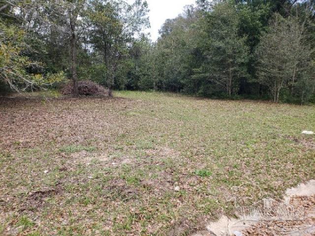 a view of backyard with green space