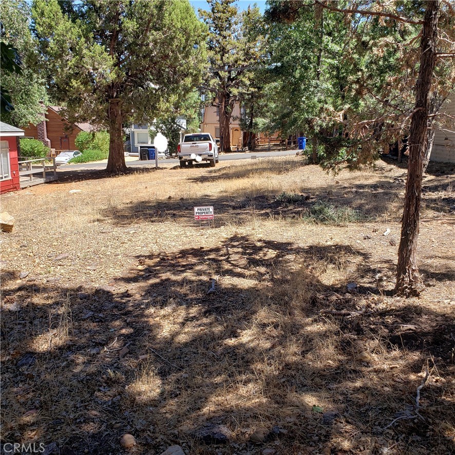 a view of a yard with plants and trees