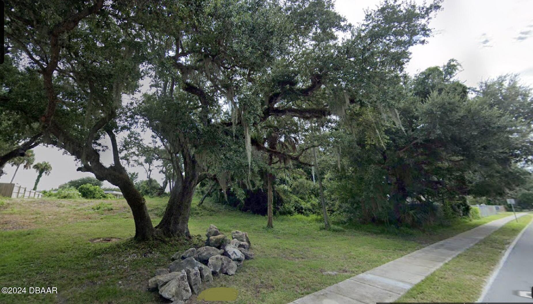 a view of a garden with a tree