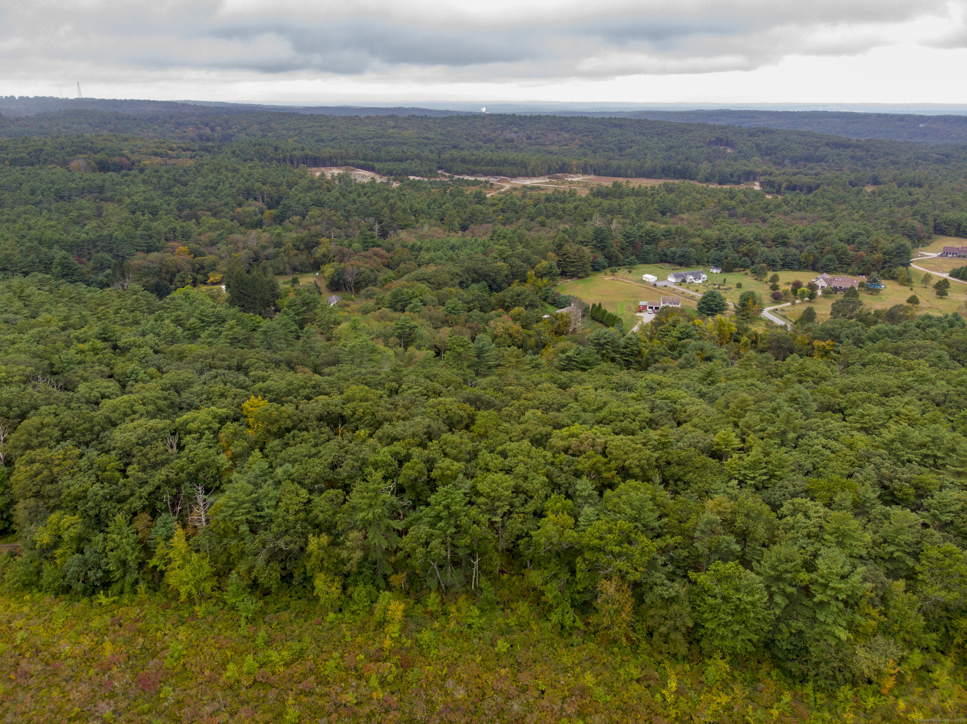 a view of a green field with lots of bushes