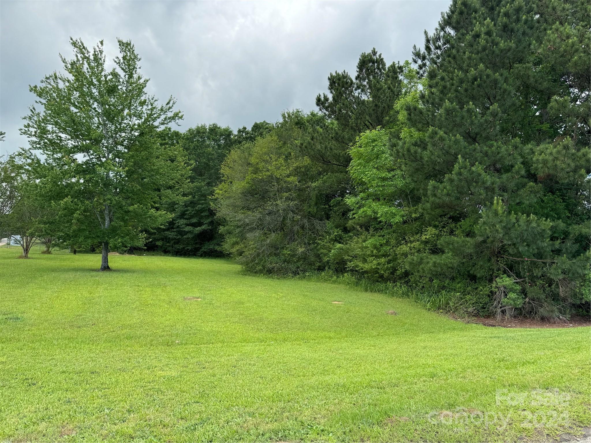 a view of a green yard