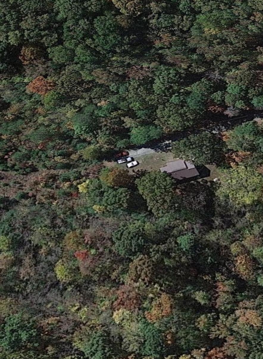 a view of a forest with a houses