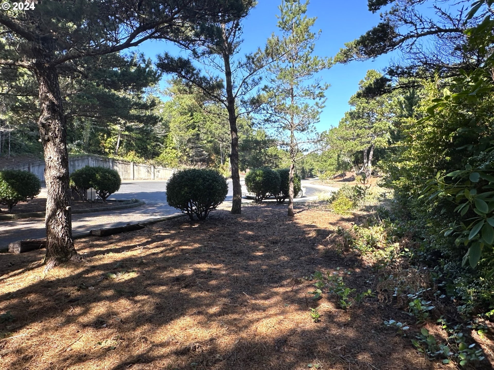 a view of a back yard