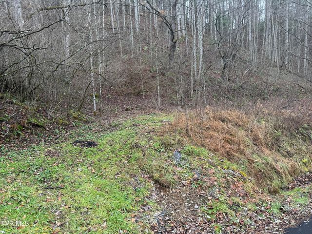 $105,000 | Tbd Tiger Creek Road