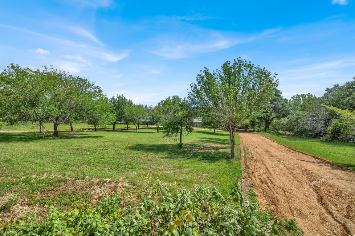 Long entry driveway to the home.