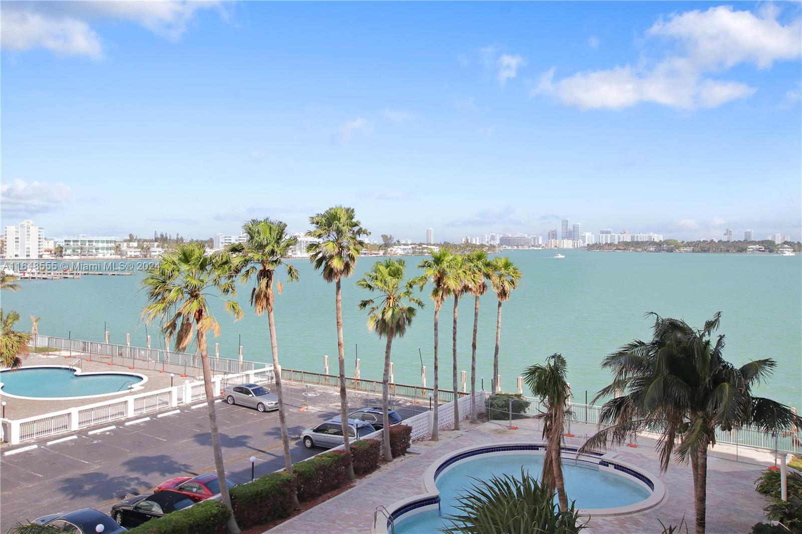 a view of a palm and trees from a patio