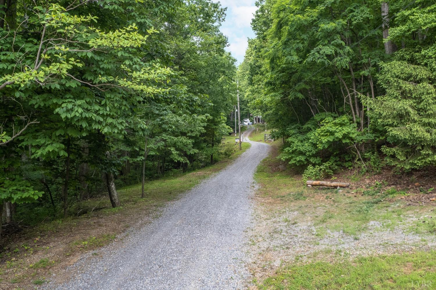 a view of a pathway both side of yard