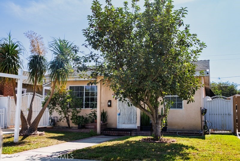 a view of house with backyard space and tree