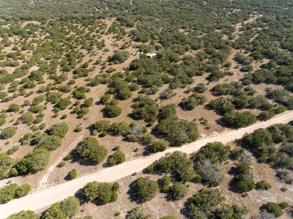 a view of a bunch of trees in a yard