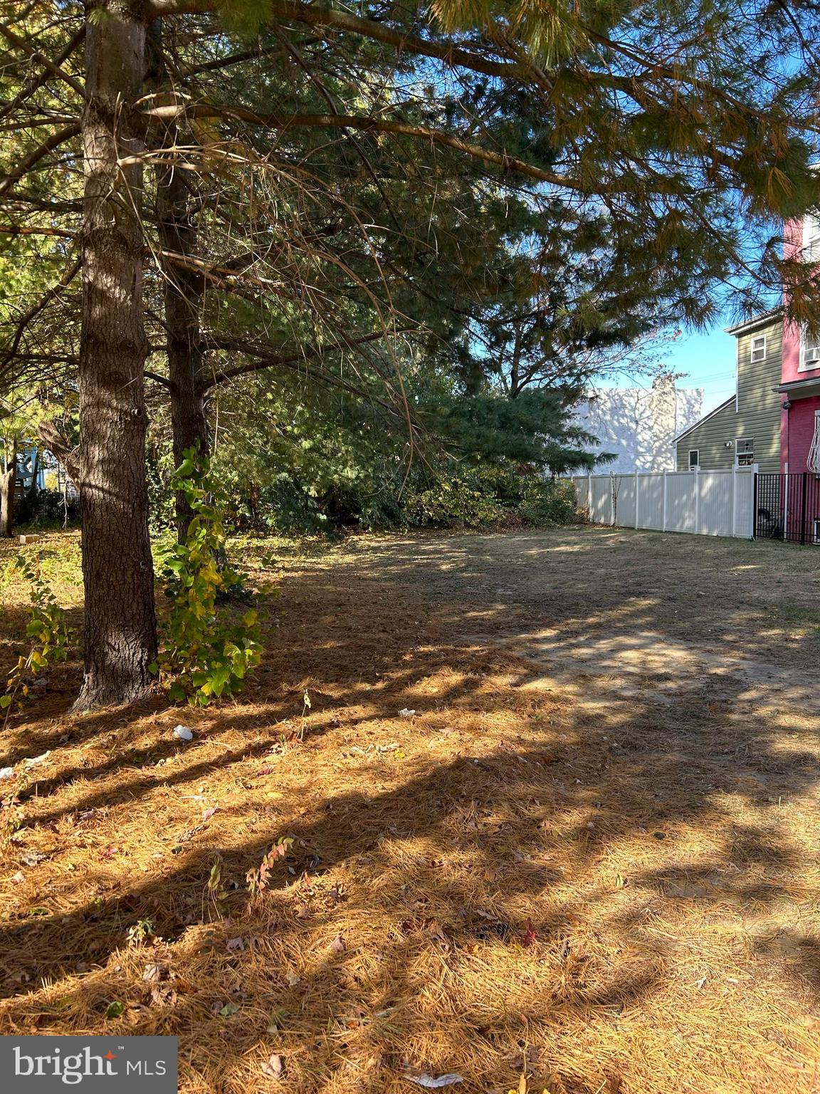 a view of a yard with large trees