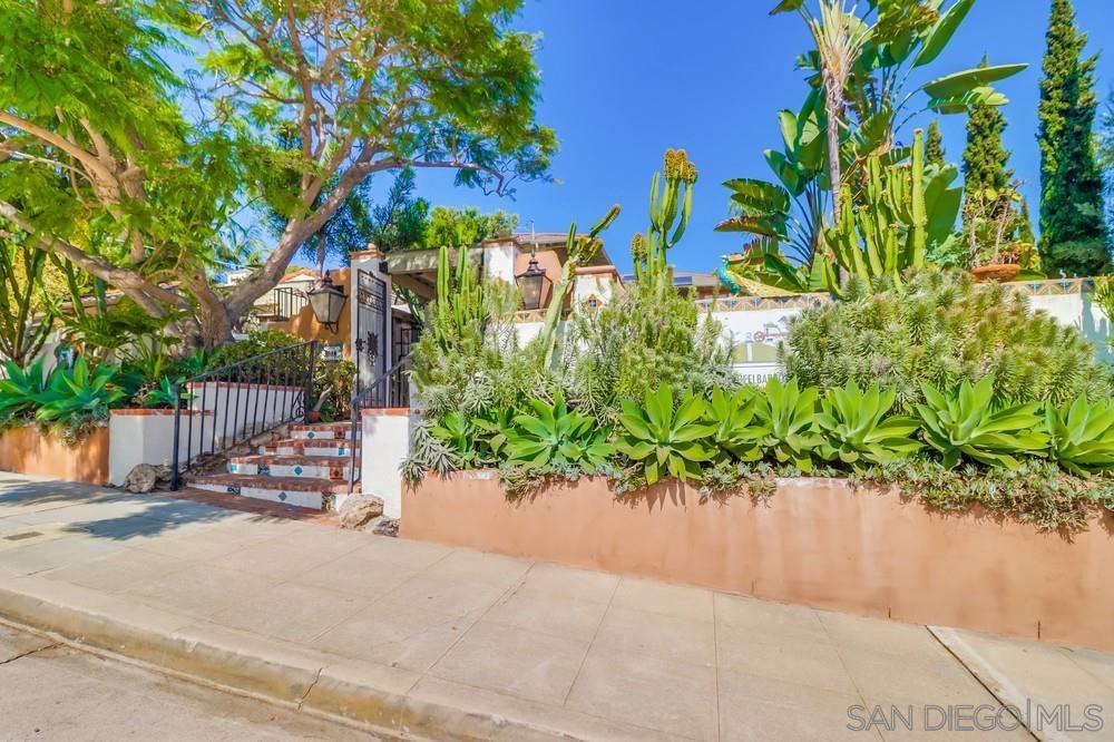 a street view with plants and trees