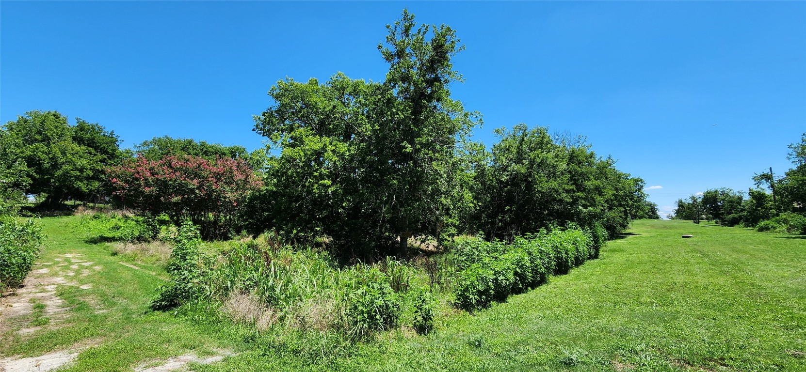 a view of a garden