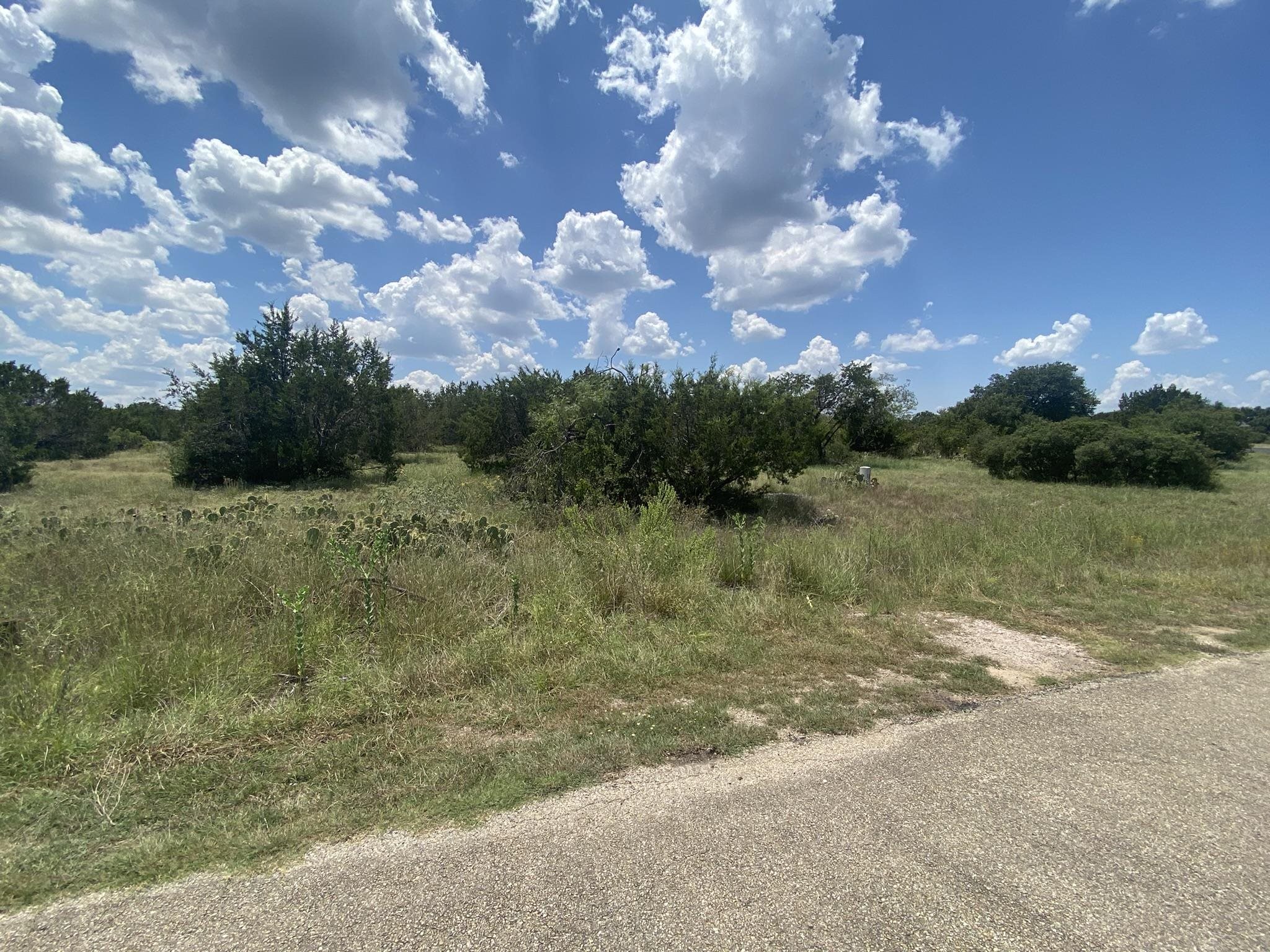 a view of a lake from a yard