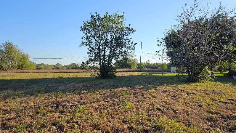 a view of a yard with a house