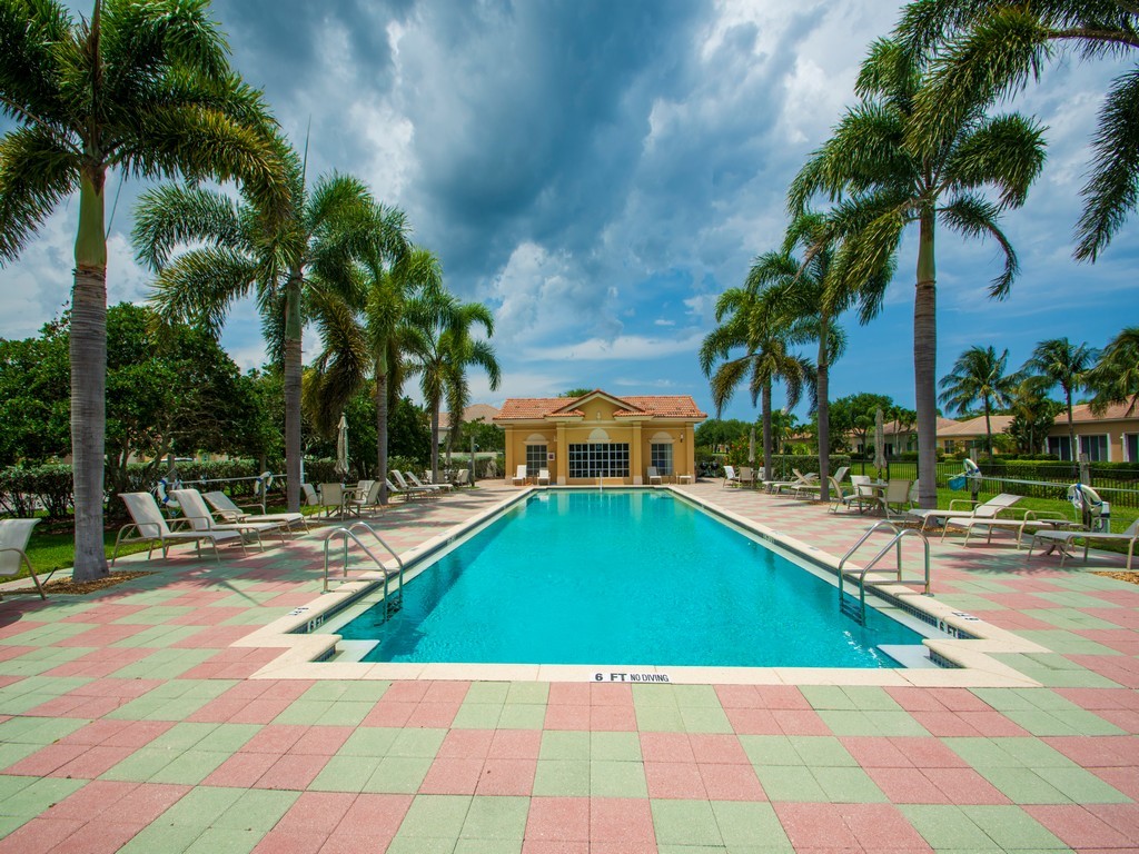 a view of a swimming pool with a lawn chairs under palm trees