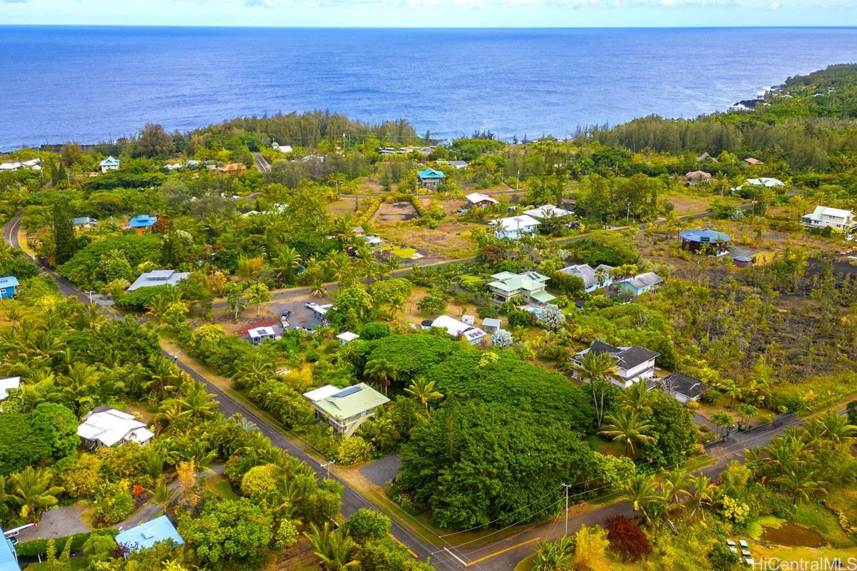 a view of a bunch of trees