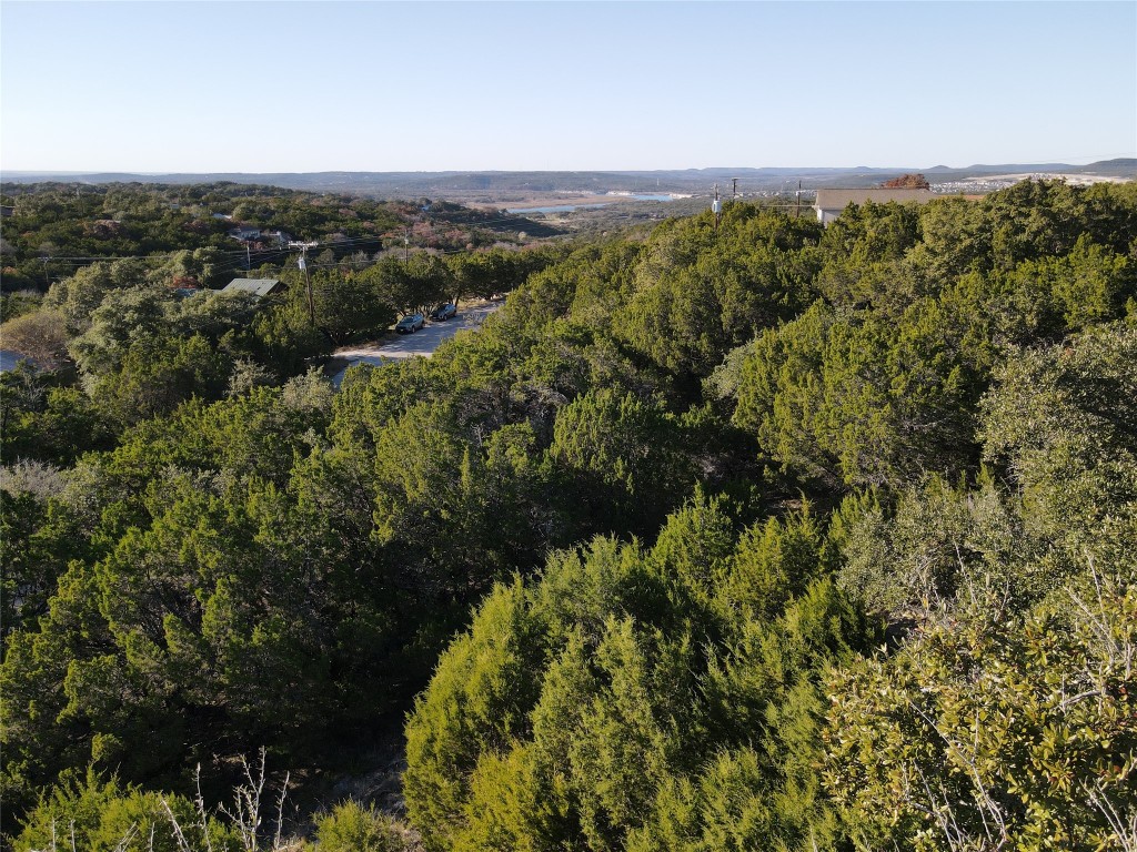 a view of a city with lush green forest