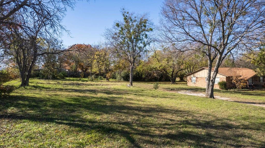 a view of a trees in a yard