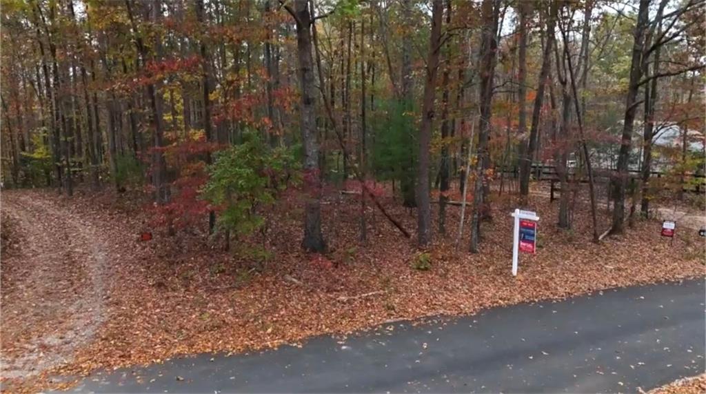 a flag is sitting in the middle of forest