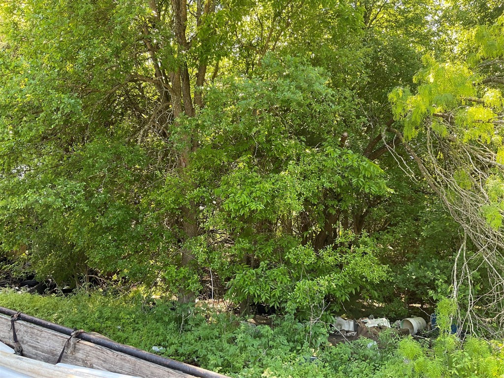 a view of a garden with plants