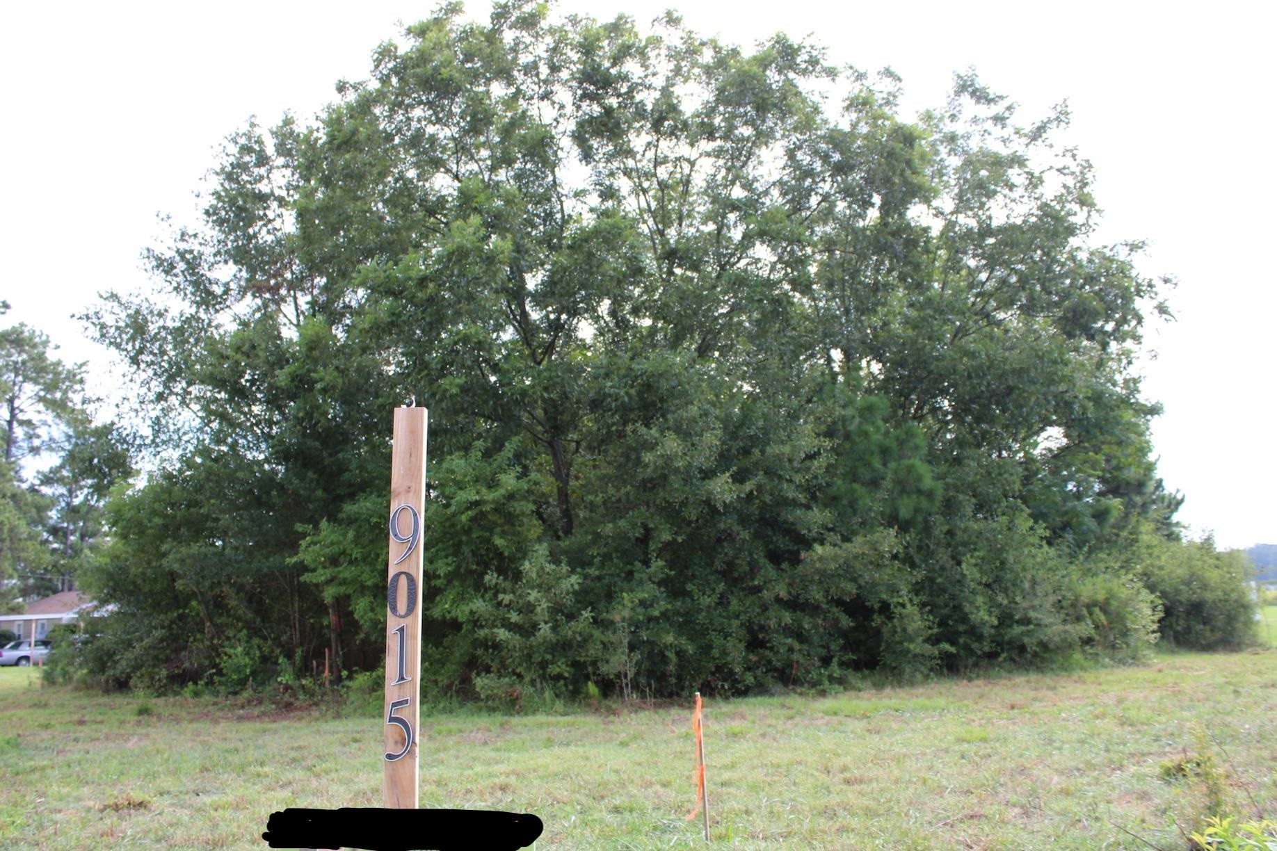 a view of a tree in a yard