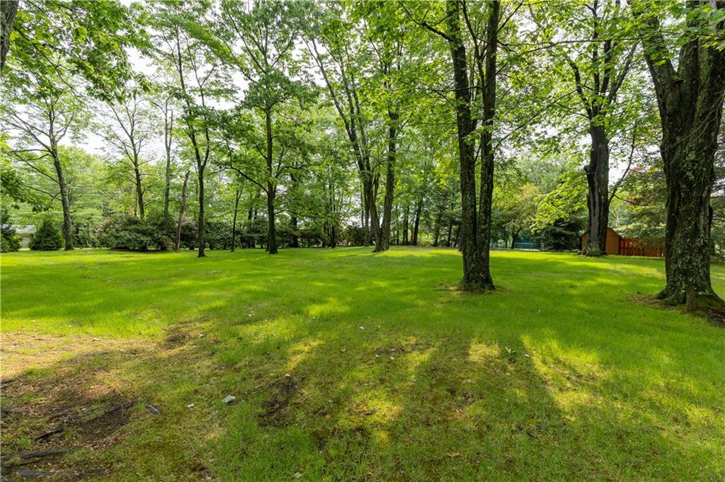 a view of a trees with a big yard