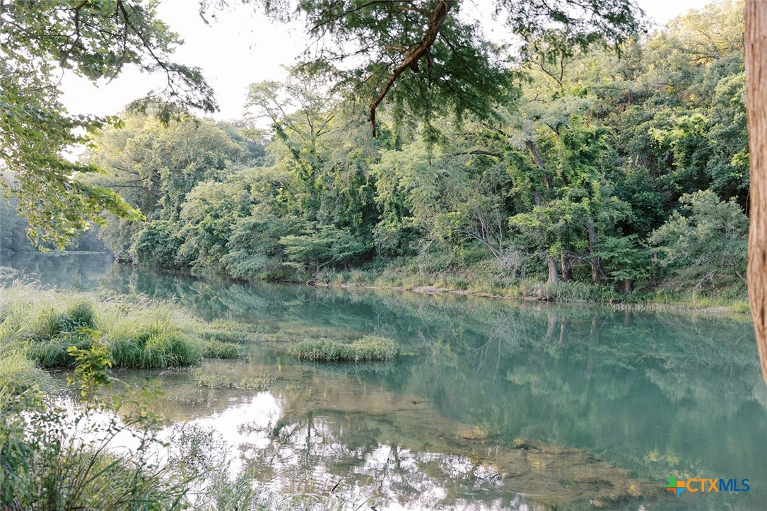 a view of a lake view with a tree