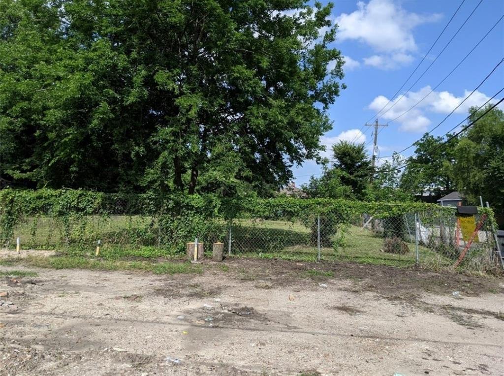 a view of a park with a tree