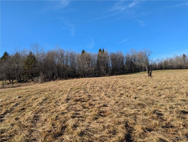 $60,000 | 1991 Kotary Road | Lewis